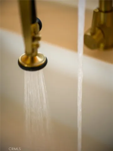 Kitchen faucet details
