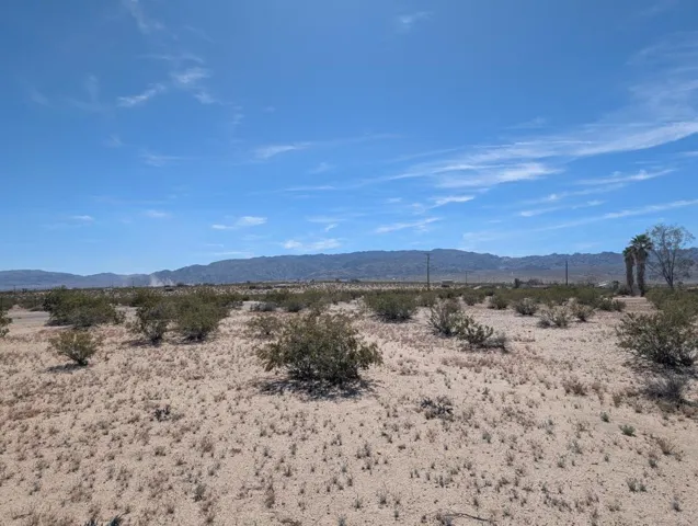 PXL_20260313_191431530