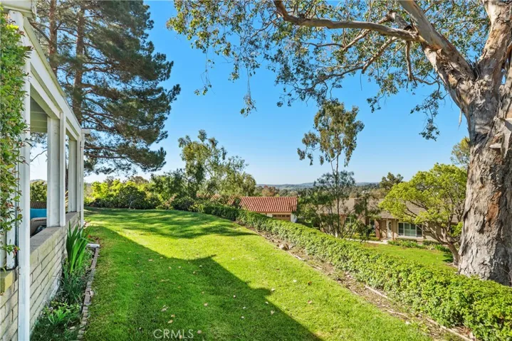 Backyard area