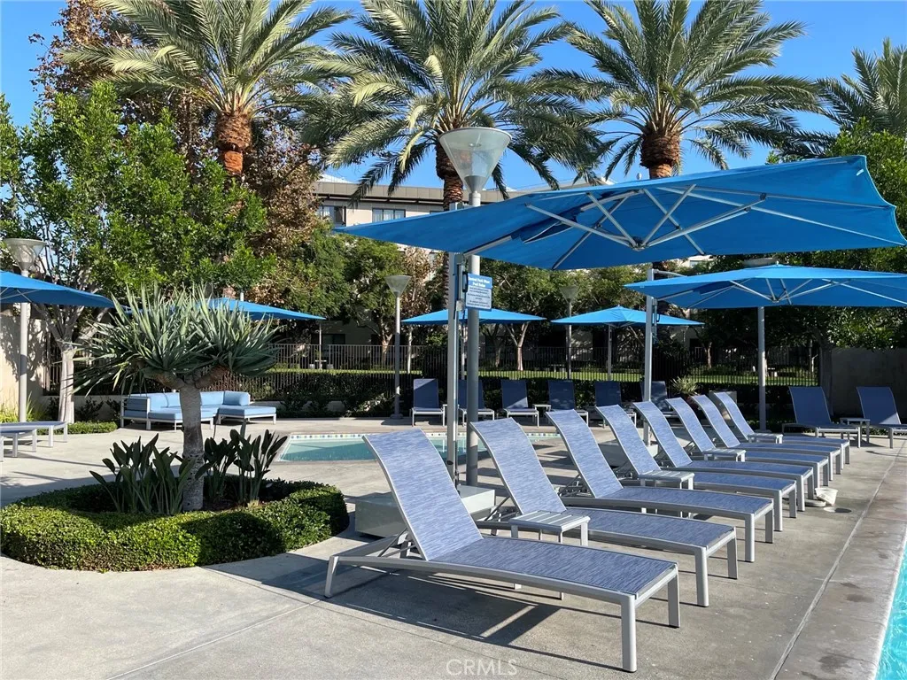 Belvedere Pool
