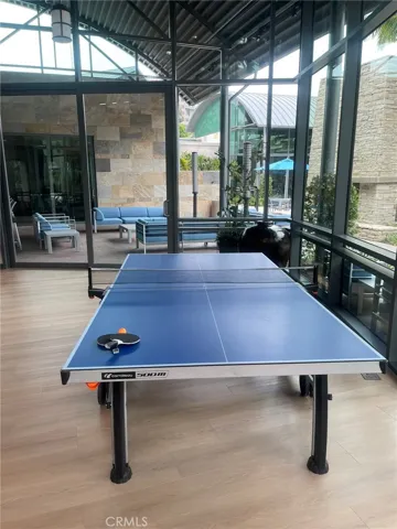 Ping Pong