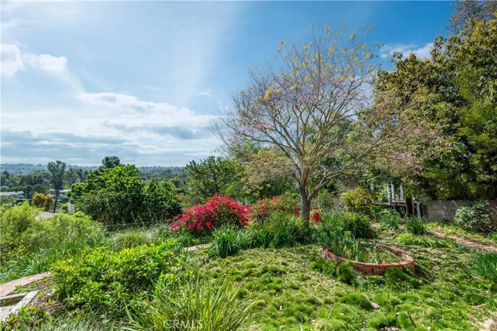 Lush Landscaping