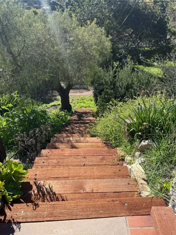 Steps to Canyon Trail