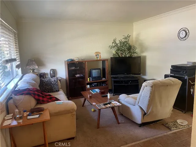 Living room is light and bright.