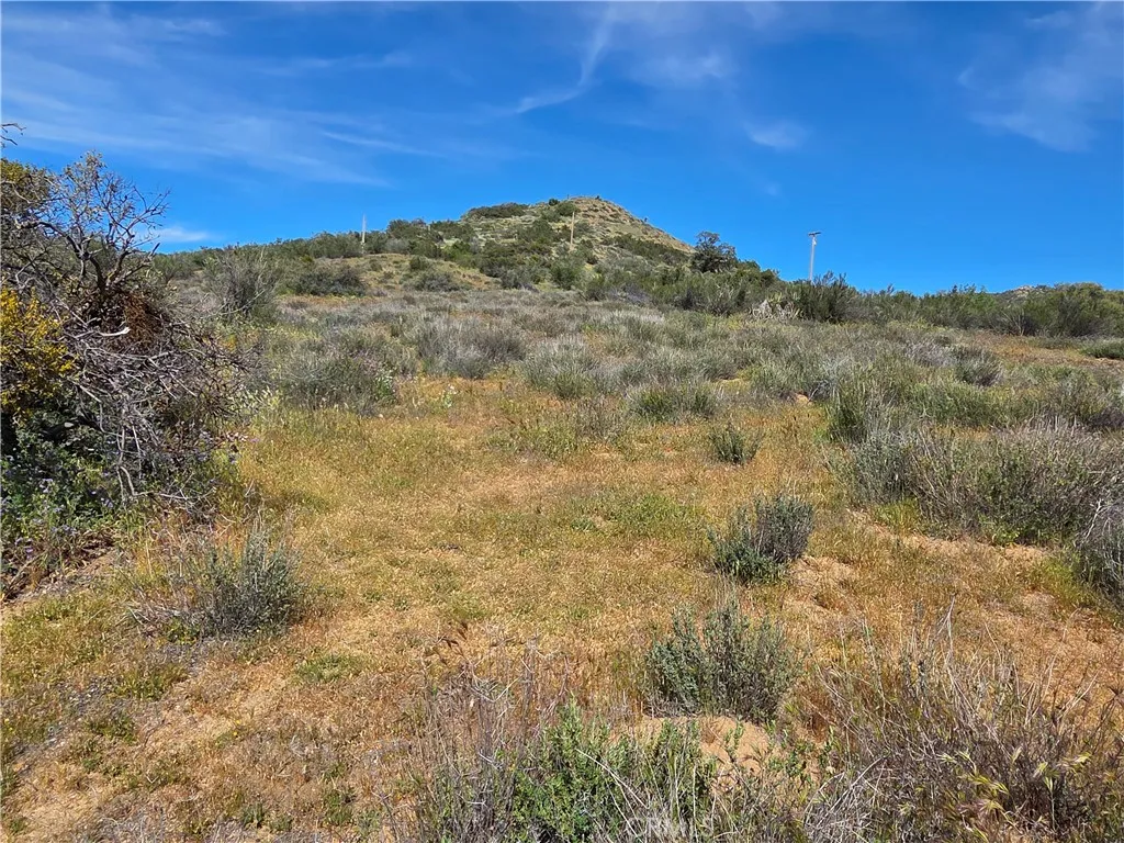 4 Fletcher, Anza, California 92539 — photo 4