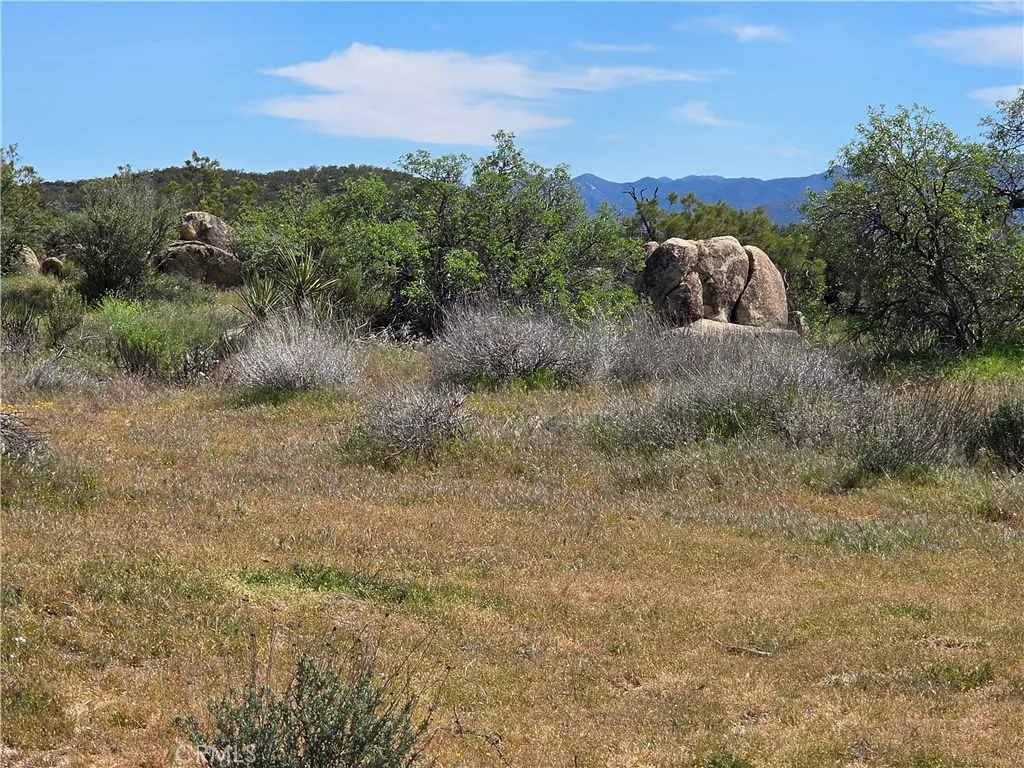 3 Fletcher, Anza, California 92539 — photo 4