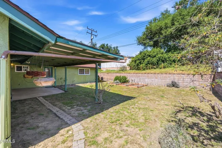 Backyard 1