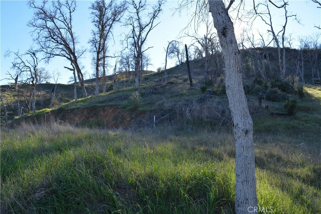 gallery-image 4