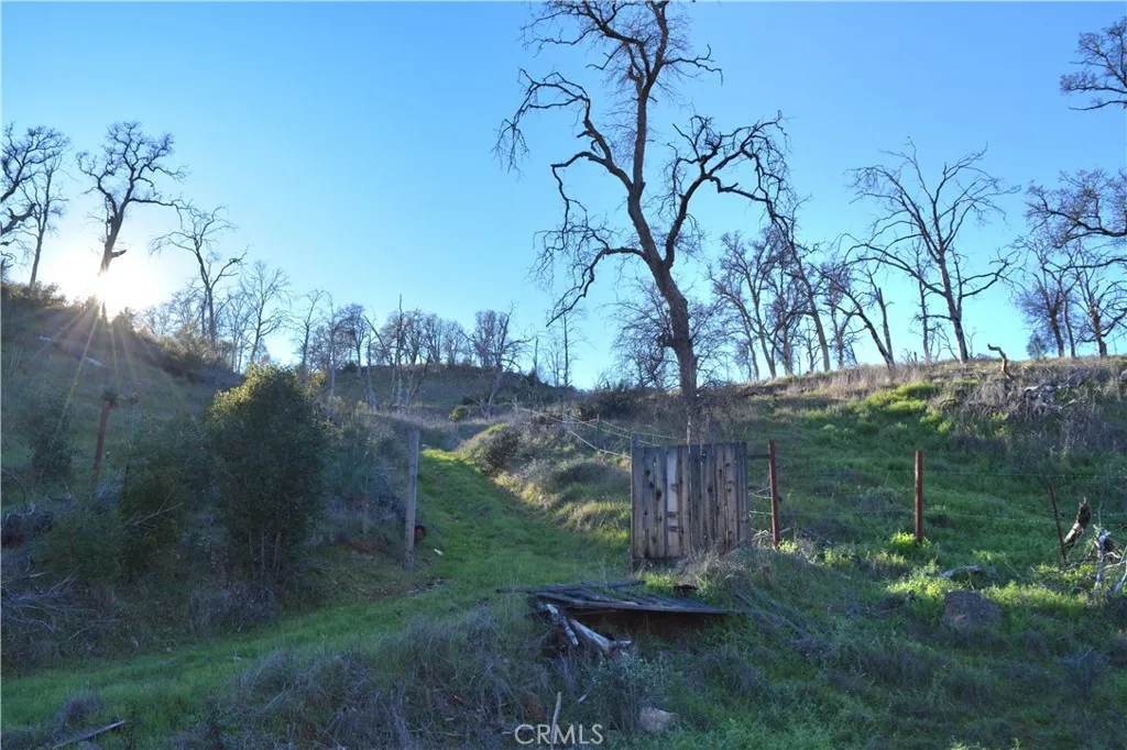 gallery-image 3