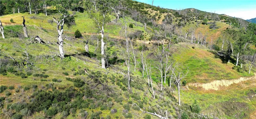 gallery-image 2