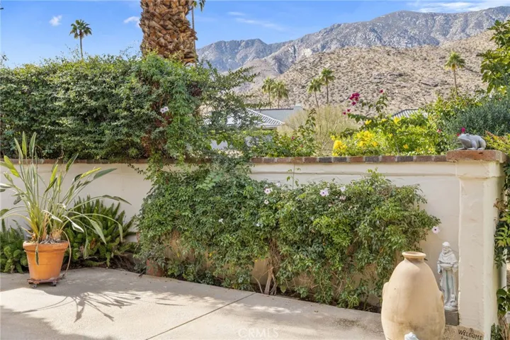 Back patio with view of San Jacinto mountains.