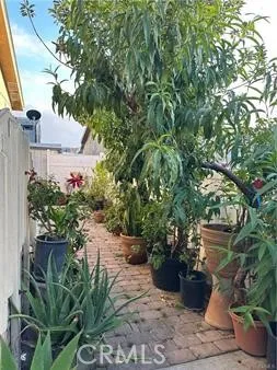 9080 Bloomfield 255, Cypress, California 90630