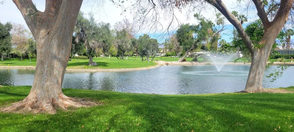 WATER FEATURE
