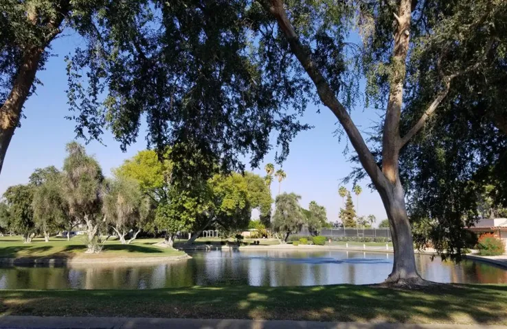 POND