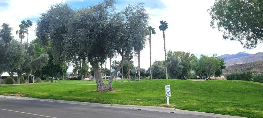 BACK 9
