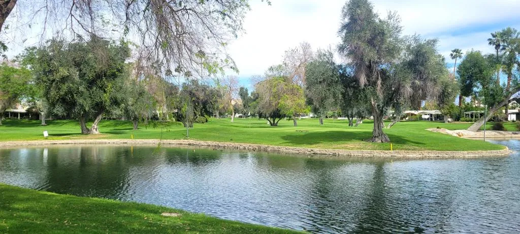 WATER FEATURE/FAIRWAY