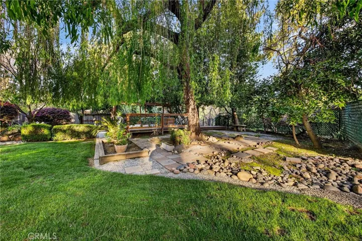 Weeping willow by the creek