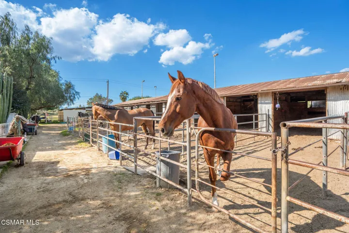 In/Out Stalls