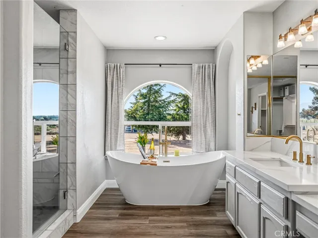 Primary bathroom with freestanding tub