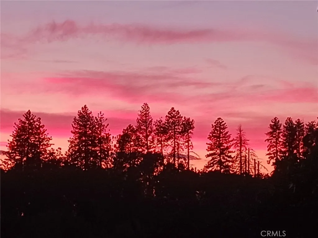 Sunset view