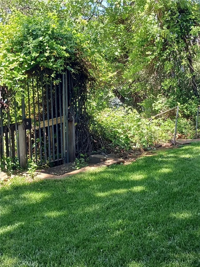 Lush vegetation