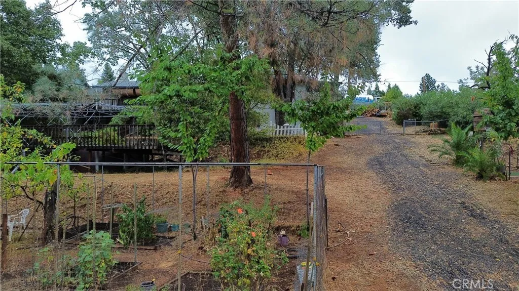 View from lower property towards house