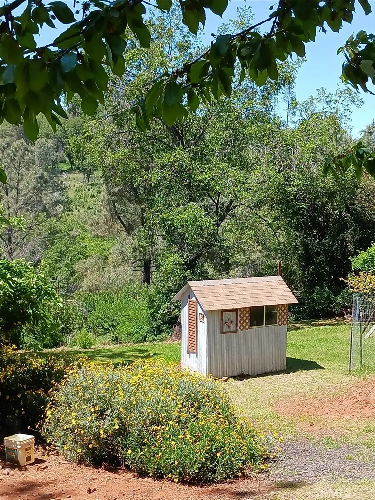View of lower portion of property with garden shed.