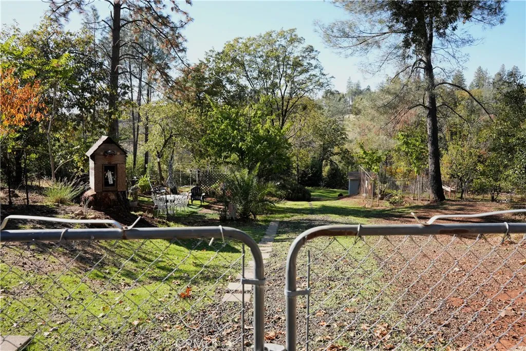 View looking toward to lower portion of the property.