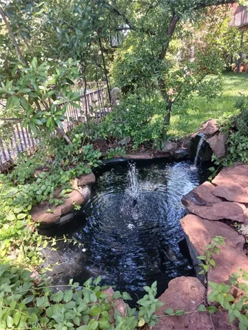 Pond with fountain