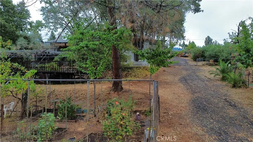 View from lower property towards house