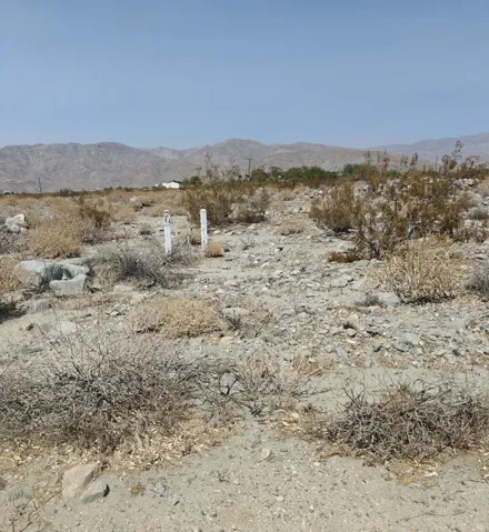 desert1