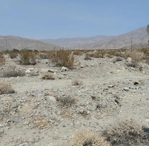 desertphoto