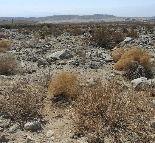desert5