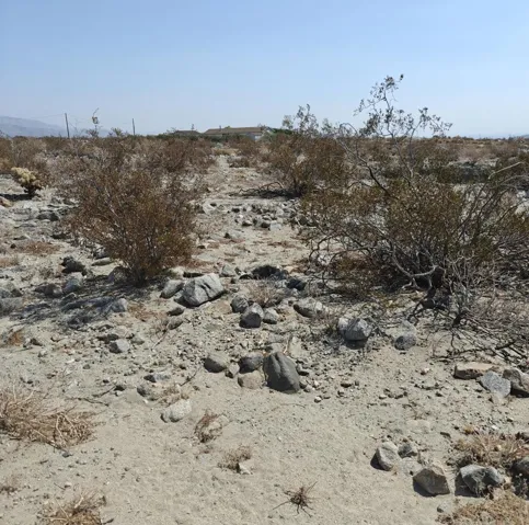 desert3