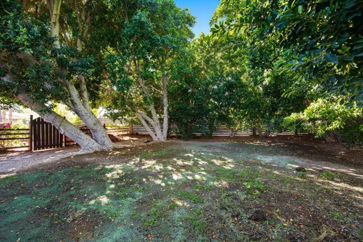 22-web-or-mls-SNMadero_OPMG_0326_022