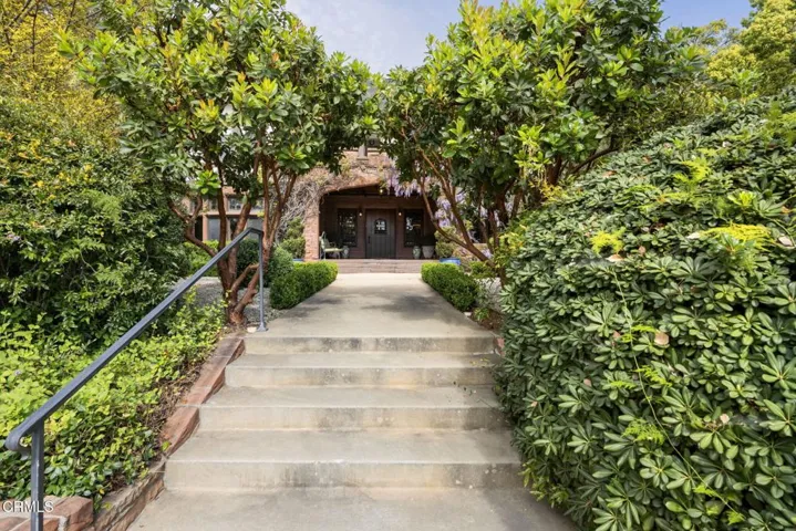 6-web-or-mls-1A1A4780