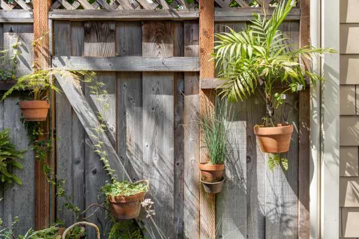1423 San Antonio Street, Menlo Park, California 94025