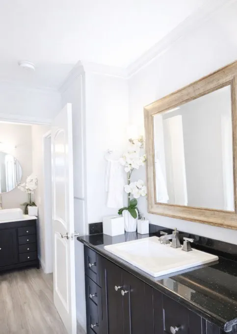 Primary Sink