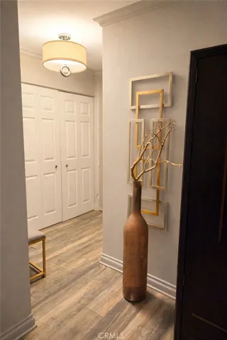 Hallway Closet