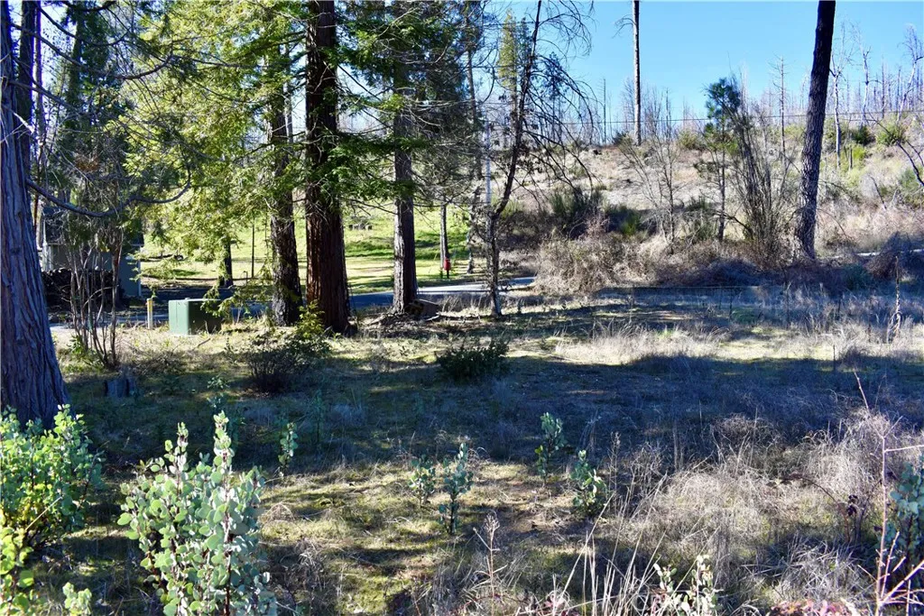 .68 Acre Level Lot