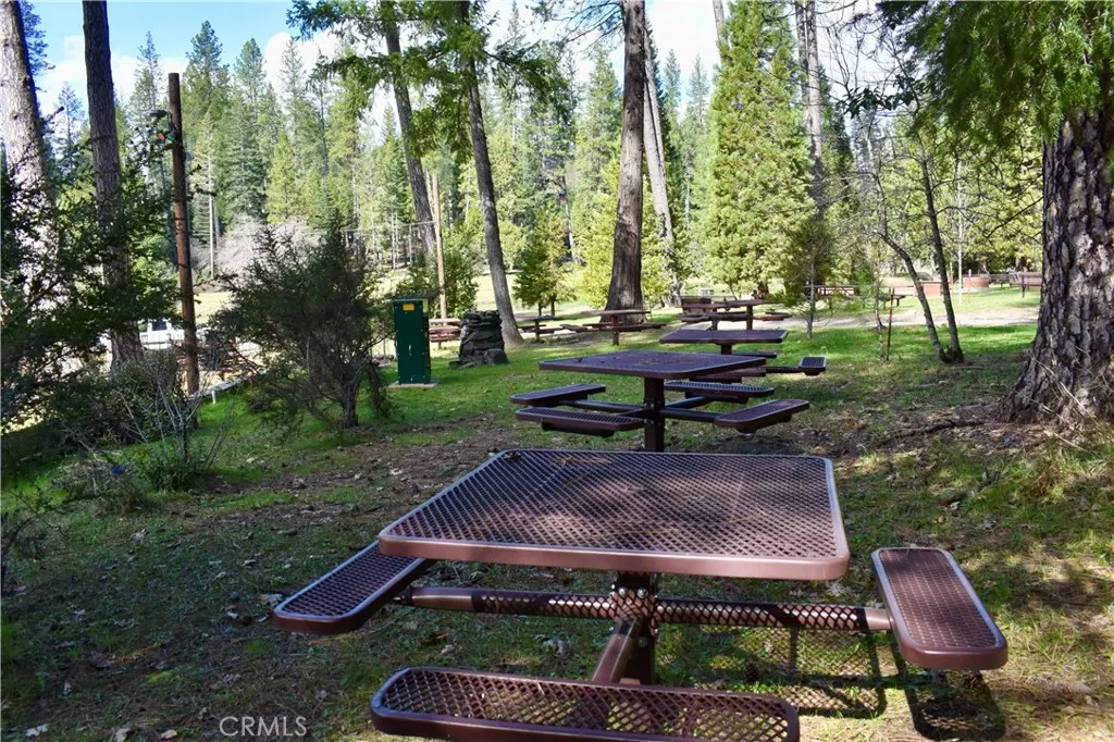 Common Area Picnic Area