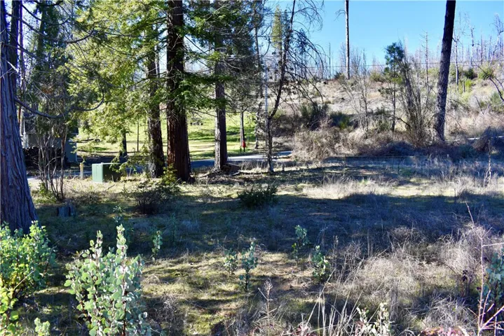 .68 Acre Level Lot