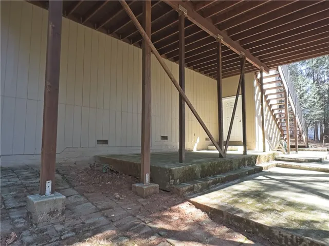Basement door under house