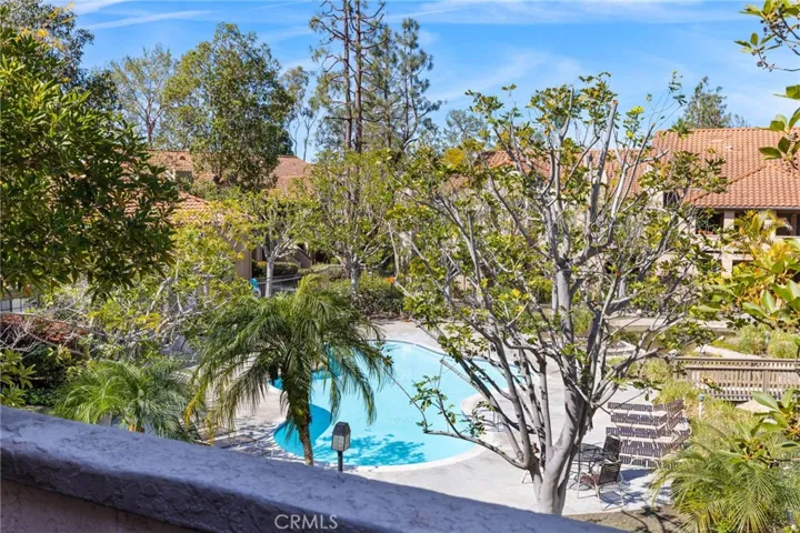 Pool View from Patio