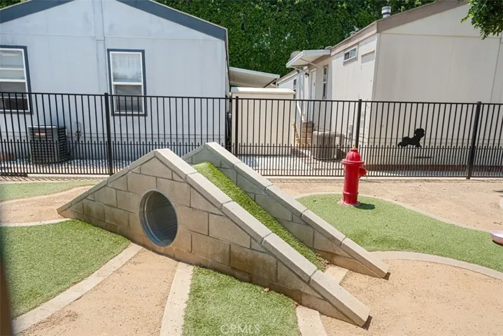 Dog Park