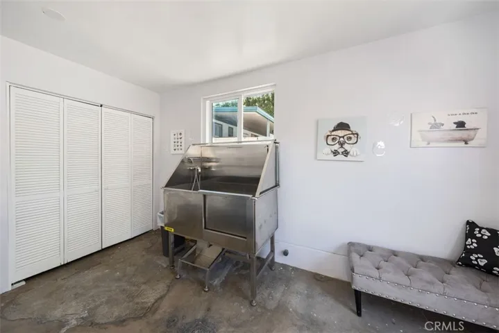 Dog  Wash/Shampoo Room
