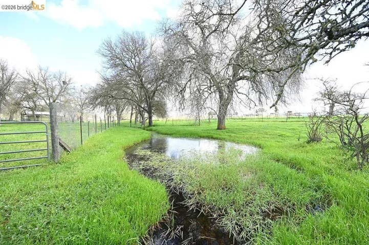 View of yard with a view of rural / pastoral area and a water view