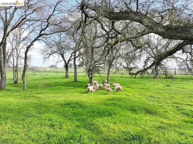 View of green lawn featuring a rural view