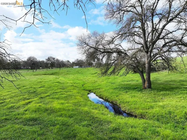 View of green lawn