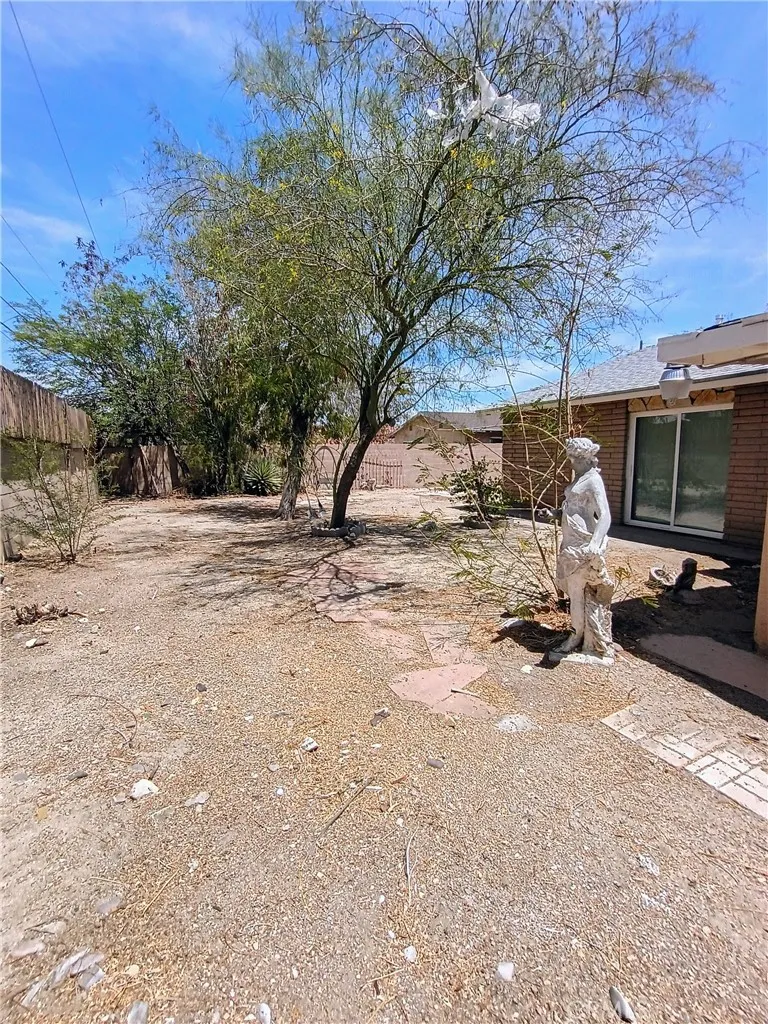 Back yard